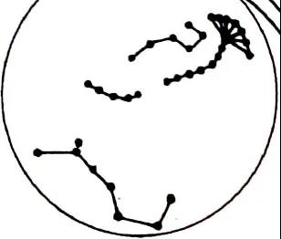 1628150699608481.jpg
