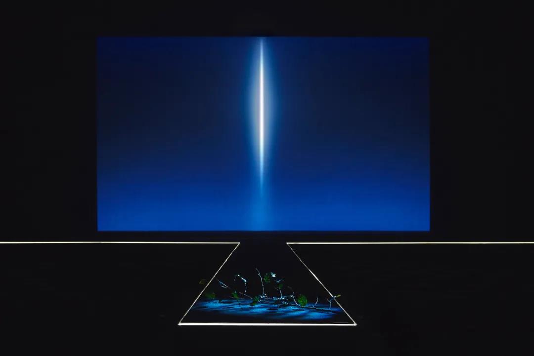1629535289886523.jpg